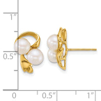 14k Polished 5-6mm Button Freshwater Cultured Pearl Post Earrings-XF894E