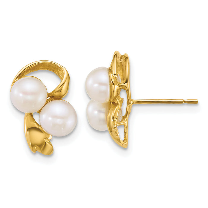 14k Polished 5-6mm Button Freshwater Cultured Pearl Post Earrings-XF894E