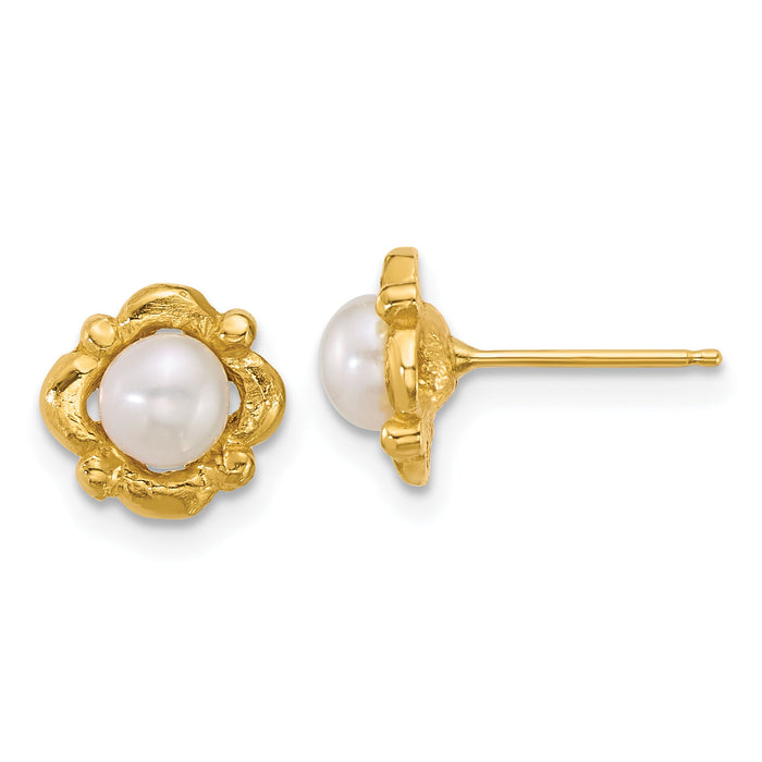14k Polished 4-5mm Button Freshwater Cultured Pearl Post Earrings-XF899E