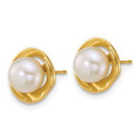 14k Polished 6-7mm Button Freshwater Cultured Pearl Post Earrings-XF900E