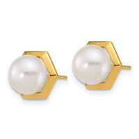 14k Polished 7-8mm Button FW Cultured Pearl Hexagon Post Earrings-XF901E