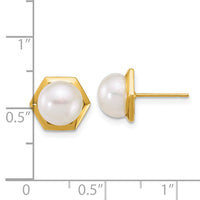 14k Polished 7-8mm Button FW Cultured Pearl Hexagon Post Earrings-XF901E