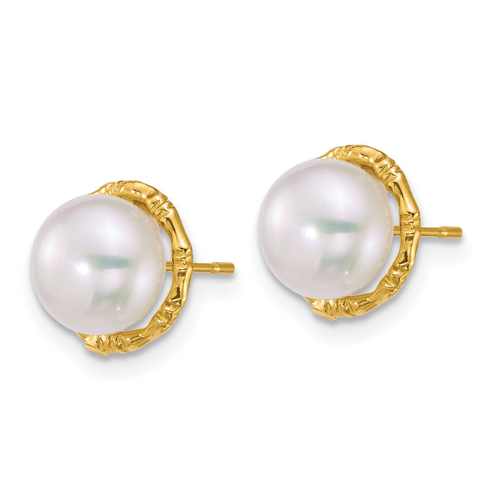 14k Polished 7-8mm Button Freshwater Cultured Pearl Post Earrings-XF903E
