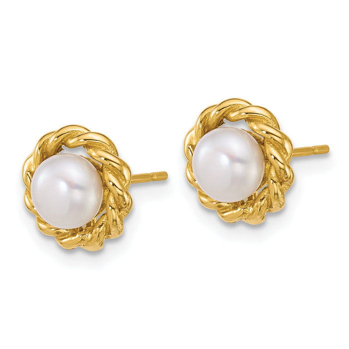 14k Polished 5-6mm Button Freshwater Cultured Pearl Post Earrings-XF904E