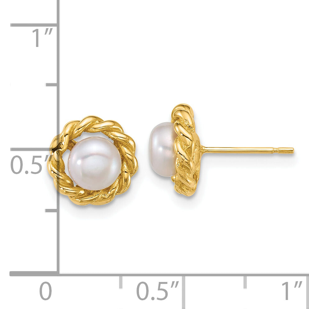 14k Polished 5-6mm Button Freshwater Cultured Pearl Post Earrings-XF904E