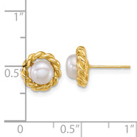 14k Polished 5-6mm Button Freshwater Cultured Pearl Post Earrings-XF904E