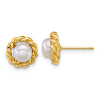 14k Polished 5-6mm Button Freshwater Cultured Pearl Post Earrings-XF904E