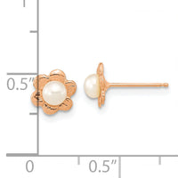 14K Rose Gold 3-4mm Button White FWC Pearl Flower Earrings-XFR617E