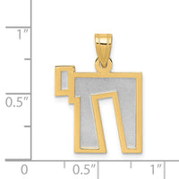 14k Two-Tone Solid Satin Chai Charm-XK674