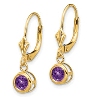 14k 5mm Amethyst Leverback Earring-XLB100AM