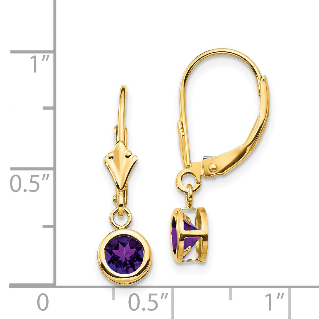 14k 5mm Amethyst Leverback Earring-XLB100AM