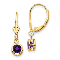 14k 5mm Amethyst Leverback Earring-XLB100AM