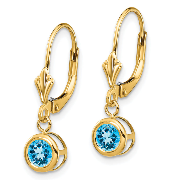 14k 5mm Blue Topaz Leverback Earring-XLB100BT