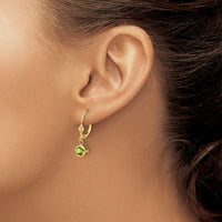 14k 5mm Peridot Leverback Earrings-XLB100PE