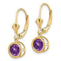 14k 6mm Amethyst Leverback Earrings-XLB101AM