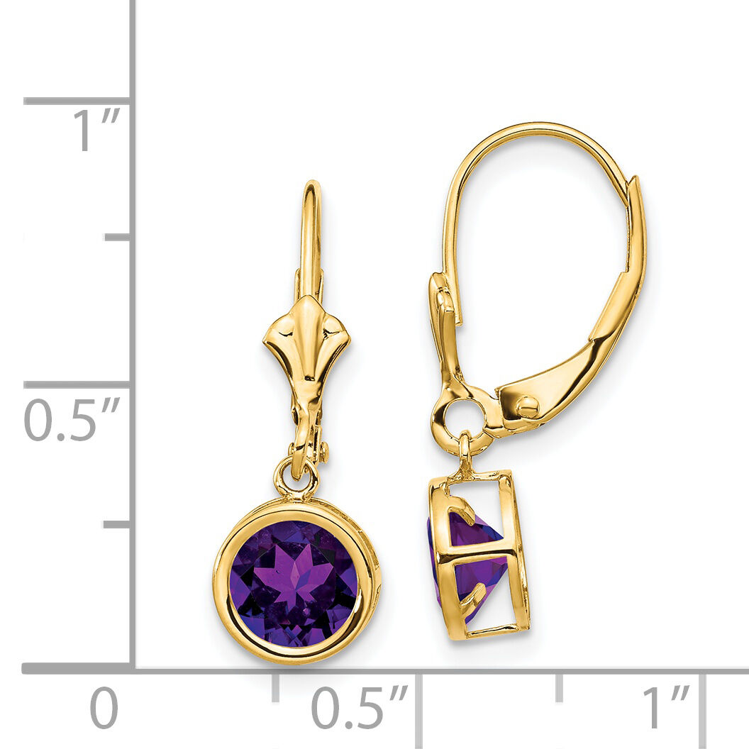 14k 6mm Amethyst Leverback Earrings-XLB101AM