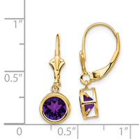 14k 6mm Amethyst Leverback Earrings-XLB101AM