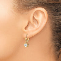 14k 6mm Cubic Zirconia Leverback Earrings-XLB101CZ