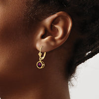 14k 6mm Rhodolite Garnet Leverback Earring-XLB101RG