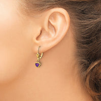 14k 5mm Heart Amethyst Earrings-XLB109AM