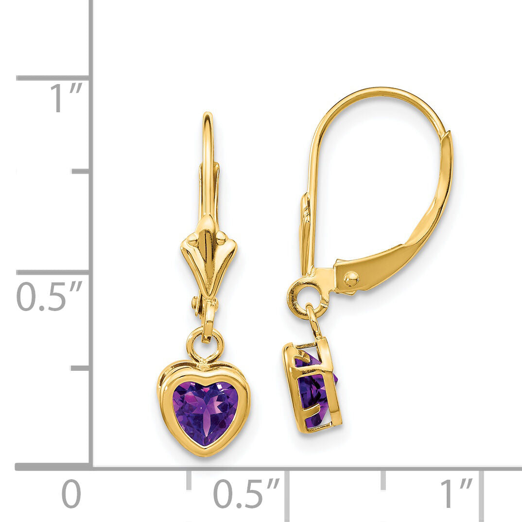 14k 5mm Heart Amethyst Earrings-XLB109AM