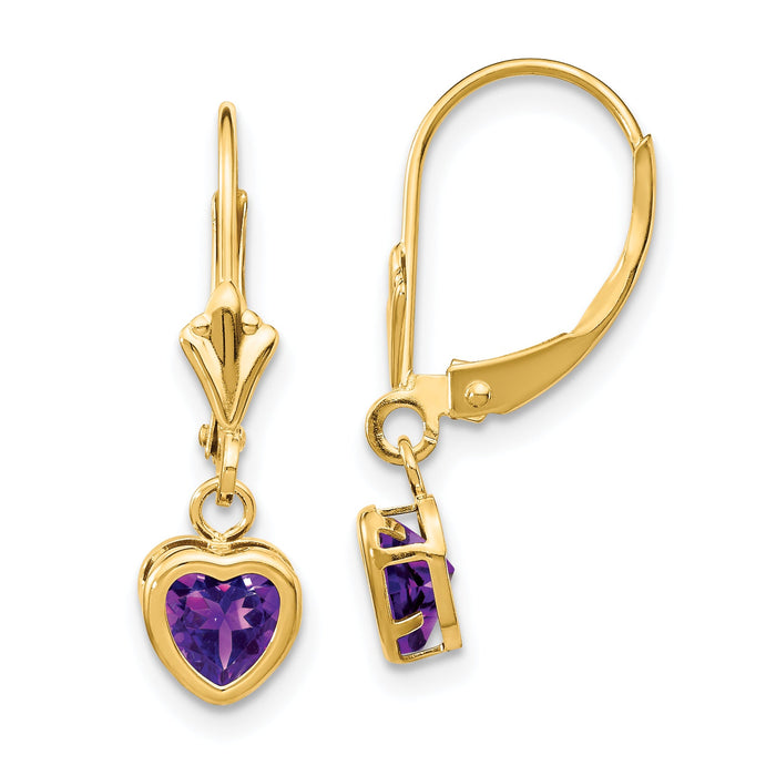 14k 5mm Heart Amethyst Earrings-XLB109AM