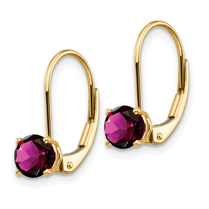 14k 5mm Amethyst Leverback Earrings-XLB111AM