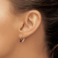14k 5mm Amethyst Leverback Earrings-XLB111AM