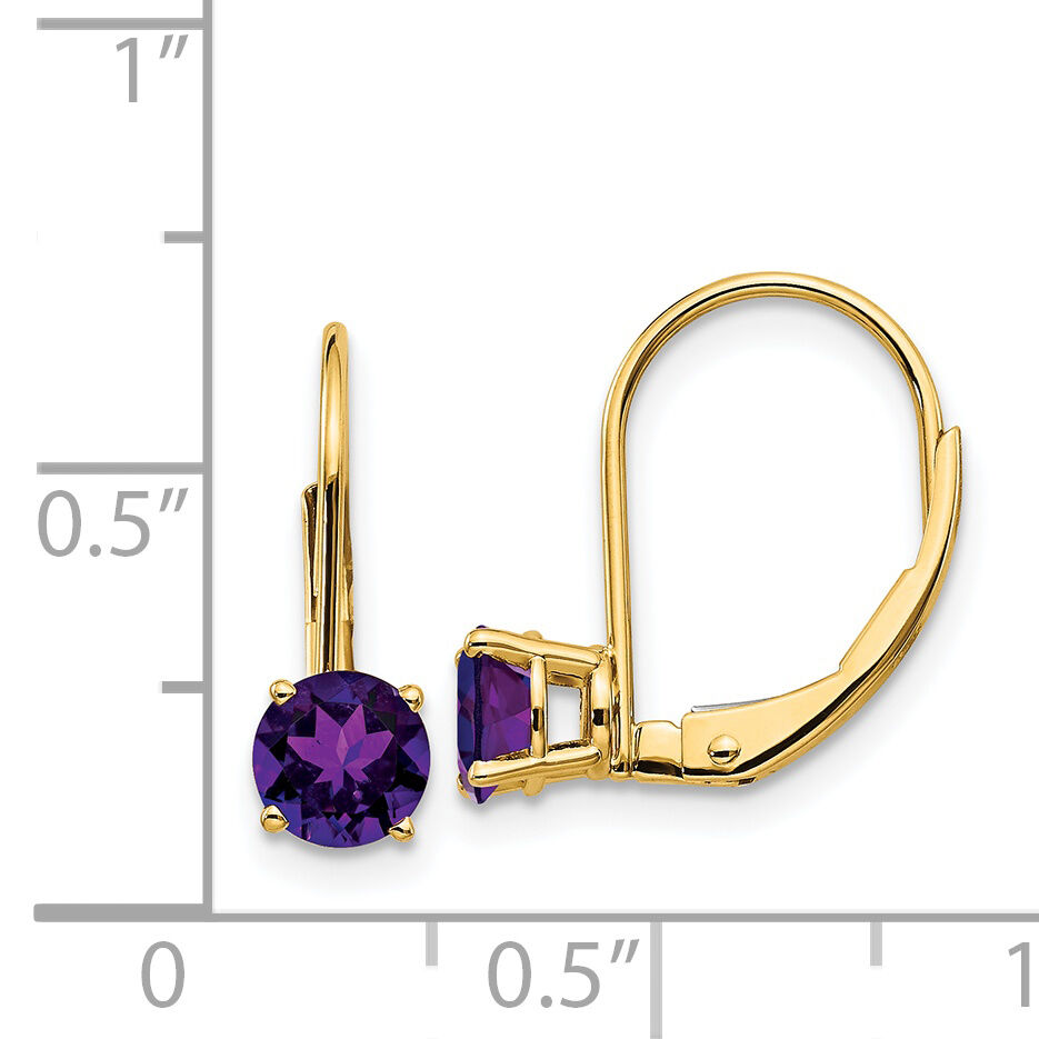 14k 5mm Amethyst Leverback Earrings-XLB111AM