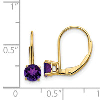 14k 5mm Amethyst Leverback Earrings-XLB111AM