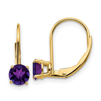 14k 5mm Amethyst Leverback Earrings-XLB111AM