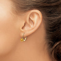 14k 5mm Citrine Leverback Earrings-XLB111CI