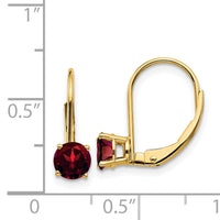 14k 5mm Garnet Leverback Earrings-XLB111GA