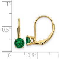 14k 5mm Mount St. Helens Leverback Earrings-XLB111MS