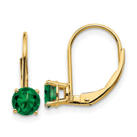 14k 5mm Mount St. Helens Leverback Earrings-XLB111MS
