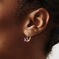 14k 6mm Amethyst Leverback Earrings-XLB112AM