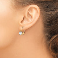 14k 6mm Cubic Zirconia Leverback Earrings-XLB112CZ