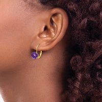 14k 7mm Amethyst Leverback Earrings-XLB113AM