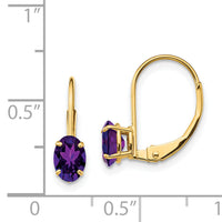 14k 6x4mm Oval Amethyst Leverback Earrings-XLB114AM
