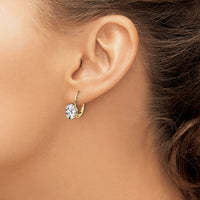 14k 8x6mm Oval Cubic Zirconia Leverback Earrings-XLB116CZ