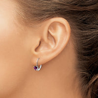 14k White Gold 5mm Heart Amethyst Leverback Earrings-XLB120WAM