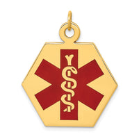 14k Red Enamel Medical Jewelry Pendant-XM31