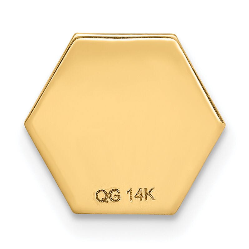 14k Non-enameled Attachable Medical Emblem Charm-XM402N