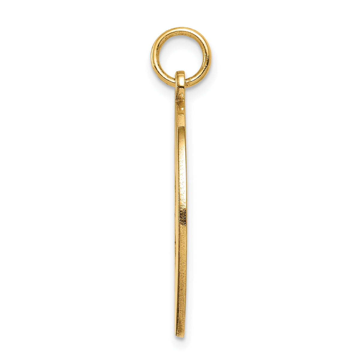 14k Non-enameled Medical Jewelry Pendant-XM409N
