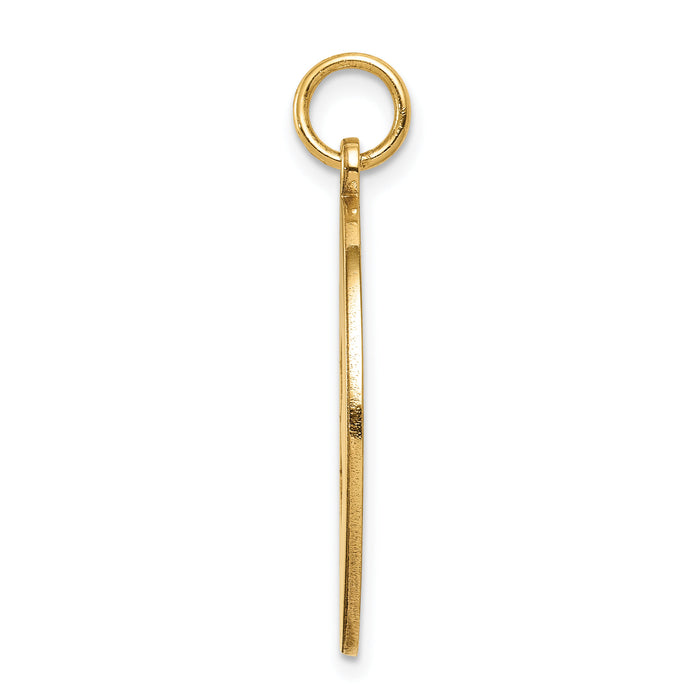 14k Non-enameled Medical Jewelry Pendant-XM409N