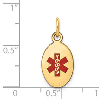 14k Polished Enamel Medical Jewelry Pendant-XM413