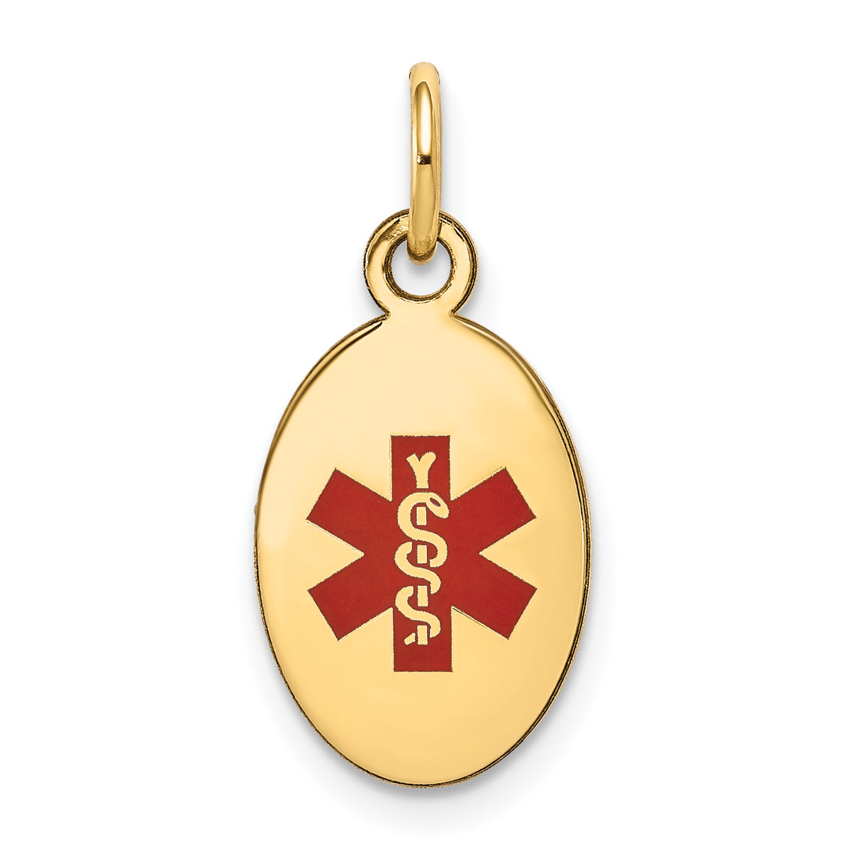 14k Polished Enamel Medical Jewelry Pendant-XM413