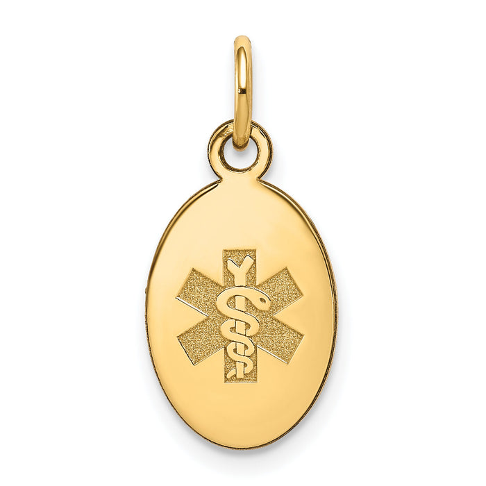 14k Non-enameled Medical Jewelry Pendant-XM413N