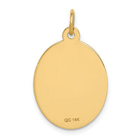 14k Non-enameled Medical Jewelry Pendant-XM414N