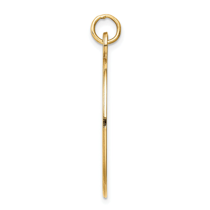 14k Non-enameled Medical Jewelry Pendant-XM415N